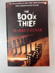 the book THIEF