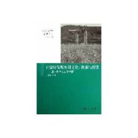 新视点教与学系列丛书：社会转型期乡村文化：传承与断裂——玉村教育人类学考察