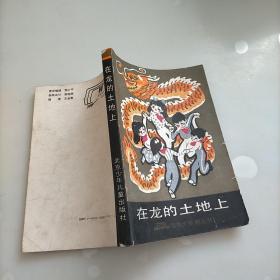 在龙的土地上