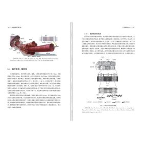 劳瑞肉品科学 9787518433353