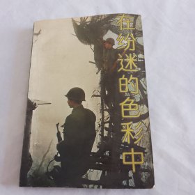 在纷迷的色彩中