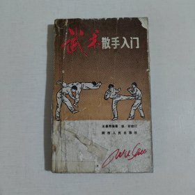 武術(shù)散手入門