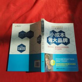 小成本做大品牌：我在宝洁、美赞臣20年的经验,你也能用