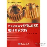 Visual Basic管理信息系统项目开发实践——程序员项目开发实践系列