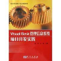 Visual Basic管理信息系统项目开发实践——程序员项目开发实践系列