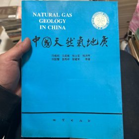 中国天然气地质