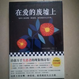 在爱的废墟上（治愈万千失恋者的现象级诗集！这世上没有哪一种爱情，值得我们失去自我。）