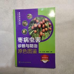 果树病虫害诊断与防治原色图鉴丛书：枣病虫害诊断与防治原色图鉴