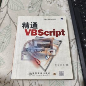 精通VBScript 馆藏 品相见图