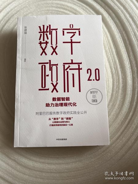 数字政府2.0：数据智能助力治理现代化