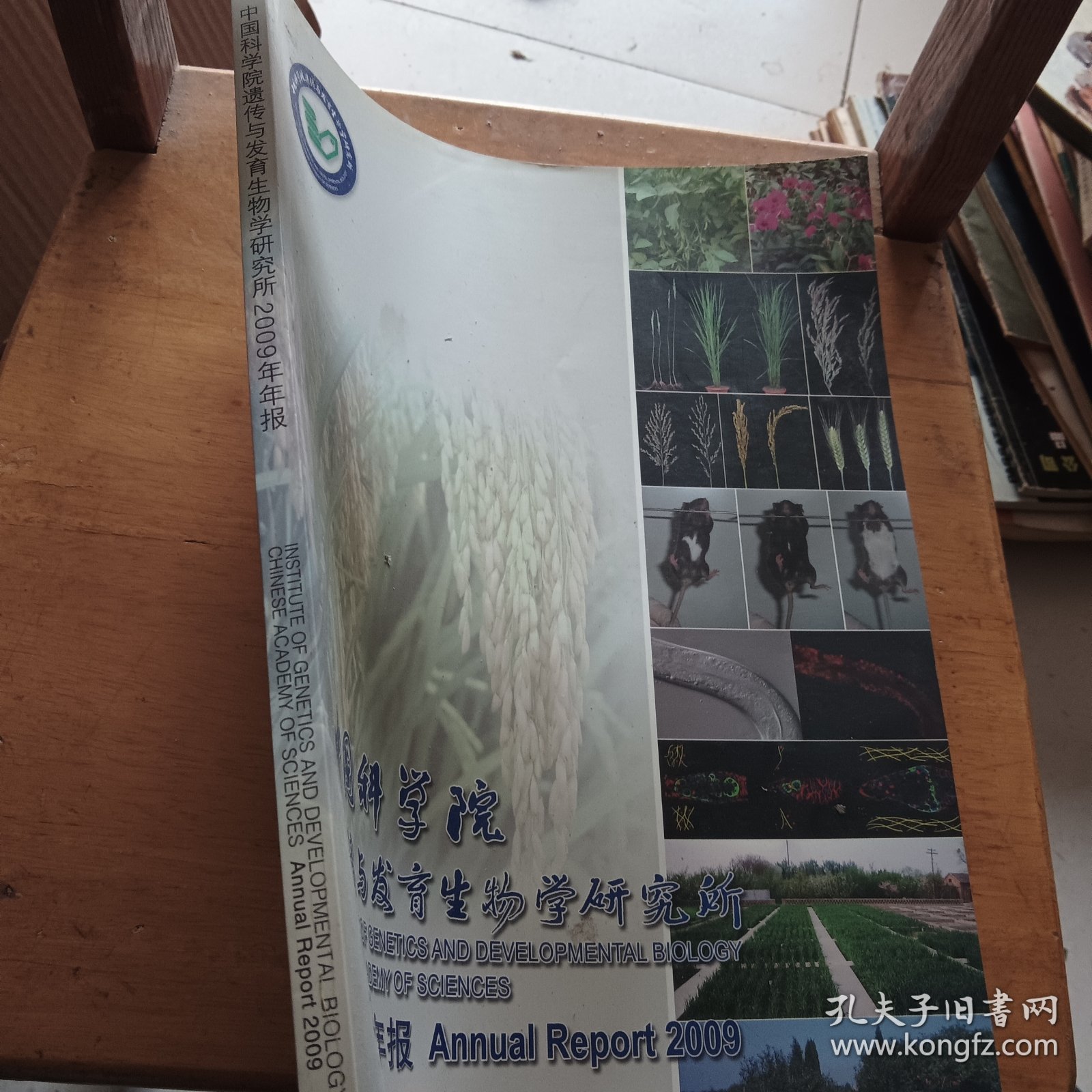 中国科学院遗传与发育生物学研究所2009年年报