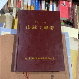 萬卅山脈主峰考