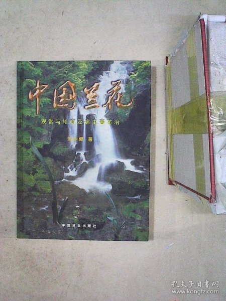 中国兰花：水晶艺研究及水晶名品鉴赏