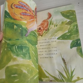 大自然科普童话绘本：带刺的小面包