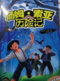 汤姆·索亚历险记