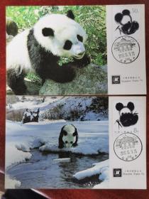 1985上海邮票公司版大熊猫明信片，自制的极限片两种