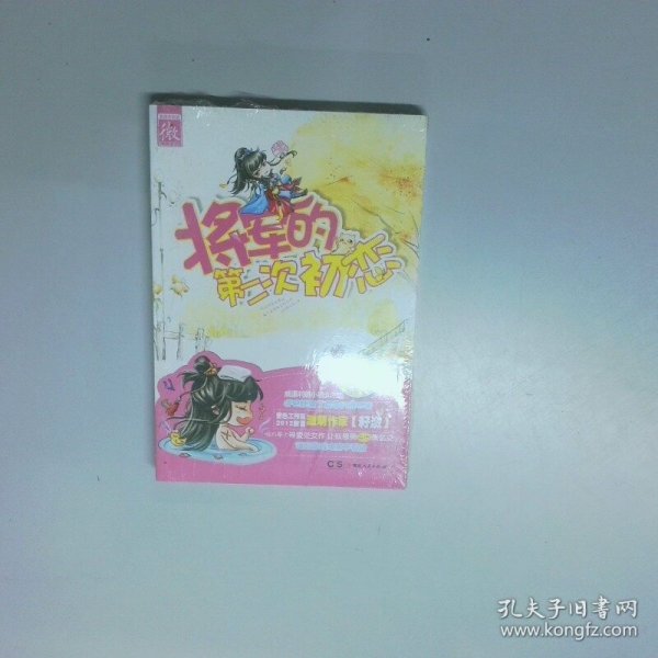 将军的第二次初恋