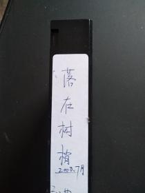 录像带.落在树梢(译制)，曲苑杂坛(100期)(回忆洛桑，采访洛桑亲朋好友特辑)