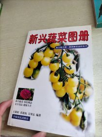 新興蔬菜圖冊——金土地工程·蔬菜新優(yōu)品種系列