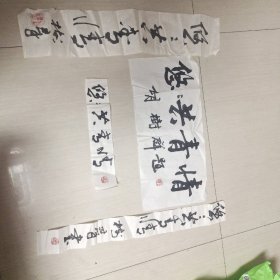 胡树群书法题字