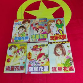 流星花园第1/5/6/7/9-12/15-23/25-29/31-34（合订本2本）册24本合售