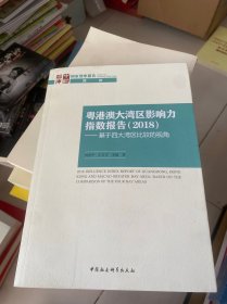 粤港澳大湾区影响力指数报告(2018)——基于四大湾区比较的视角 