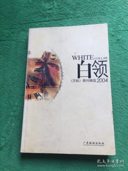 白领2004:《万科》周刊精选