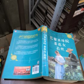 经典共享文库：巴黎圣母院·茶花女·苔丝（超值白金升级版）