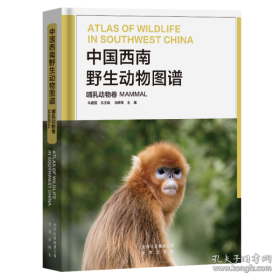 中国西南野生动物图谱(哺乳动物卷)朱建国总9787200144505