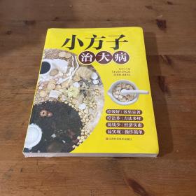 小方子治大病   中医书籍养生偏方大全民间老偏方美容养颜常见病防治 保健食疗偏方秘方大全小偏方老偏方中医健康养生保健疗法