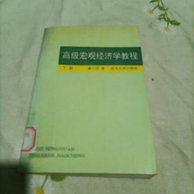 高级宏观经济学教程下册