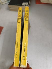 图狼穴巨款上下(内页有污渍破损如图)书品如图
