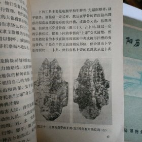 殷墟，洛阳历史简介…两册上世纪六七十年代的河南文化历史书册（合售）