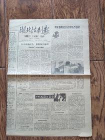 《湖北法制报》报纸/1984年11月1日