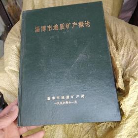 淄博市地质矿产概论 16开精装仅印220册,,,a