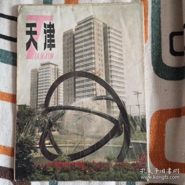 地图：天津街道图