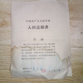 1960年入团志愿书