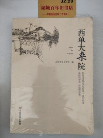 西单大杂院（北京老舍文学院首届获奖小说，我们儿时成长起来的地方）