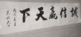 范忆九 书法 《诚信赢天下》