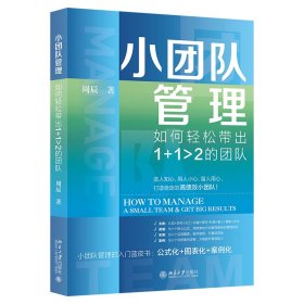 小团队管理：如何轻松带出1+1>2的团队周辰9787301337080