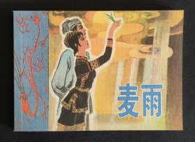 麦雨（大师王井～作品）50开平装本~包邮