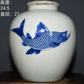 大清康熙年制青花鱼纹罐子。lxl 高度：24.5厘米 直径：21厘米