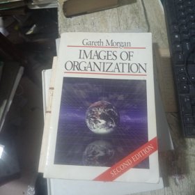 gareth morgan images of organization