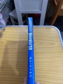 高温非平衡空气绕流