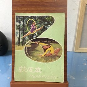 软皮本：共写了13页九篇有趣的小学生日记，（八九十年代）九篇日记内容：1霸凌2打扫家里卫生3伙伴放鞭炮炸伤手4与家人游览动物园5帮家里去热水房提开水6学炸花生7学《少年科学画报》制作“米老鼠钓鱼”8过除夕9新学期计划