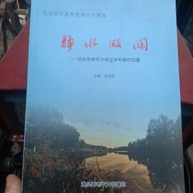 静水微澜(泊头市老年大学书画作品集)