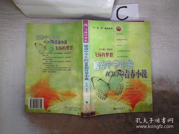 飞扬的梦想：感动中学生的100篇青春小说、。