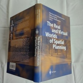 The Real and Virtual Worlds of Spatial Planning