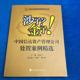 沙子？金子！：中国信达资产管理公司处置案例精选