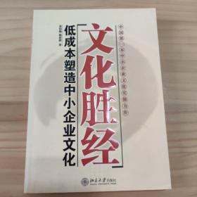 文化胜经：低成本塑造中小企业文化